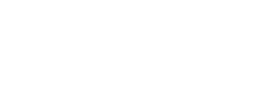 Chauffeur privé Lyon 7